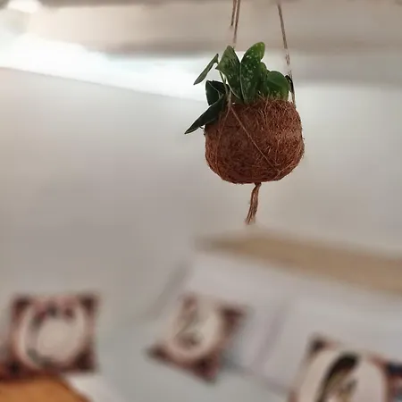 Il Pirtuso 팔레르모